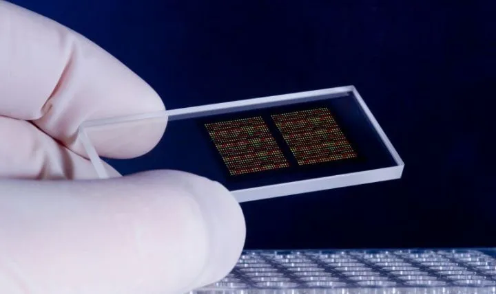 Чипы для ИИ