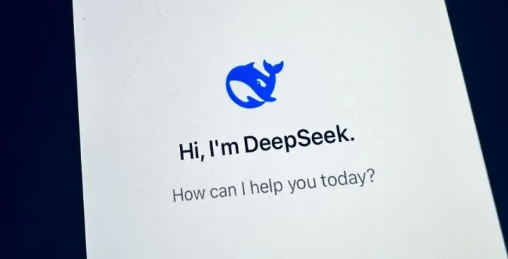 DeepSeek