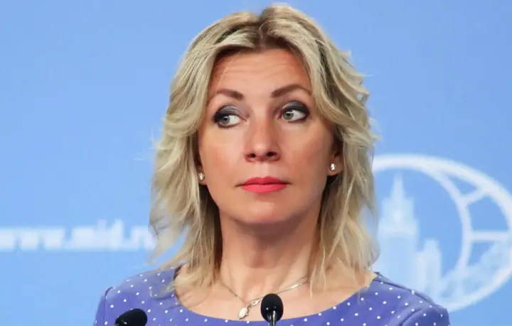 Мария Захарова G20
