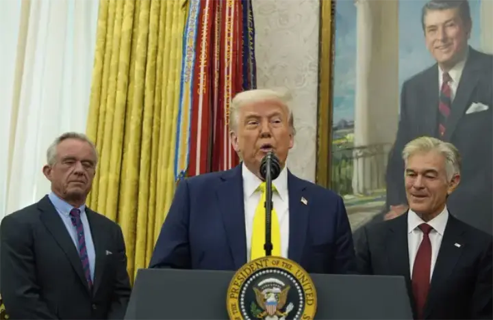 Мирные инициативы