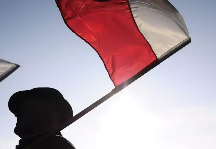 Выборы в Польше