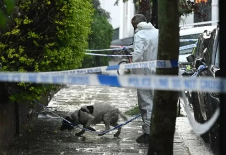 Русский след