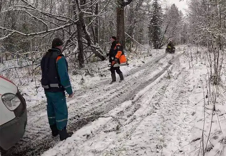 Поиски Усольцевых