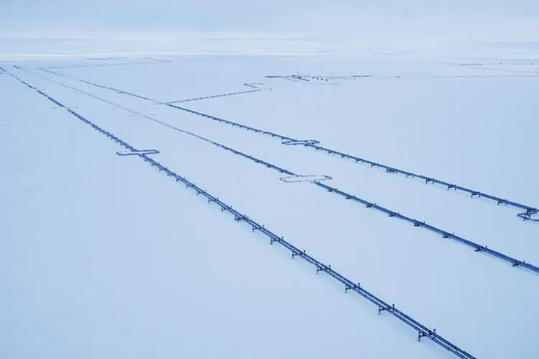 Слова Путина