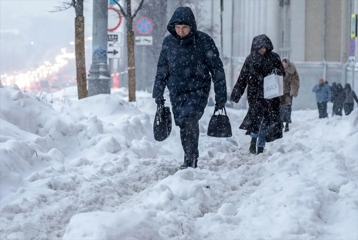 Снежный покров