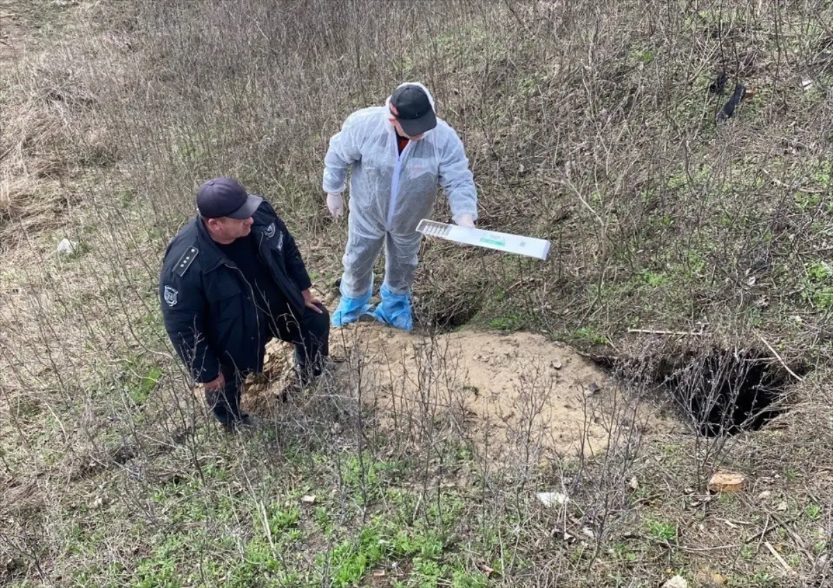 Вакцинация диких животных