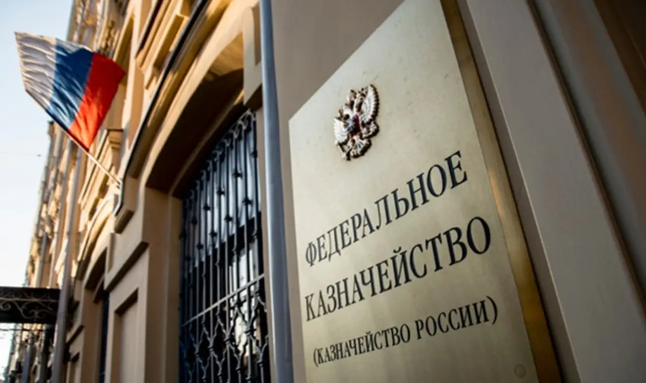 Казначейские проверки