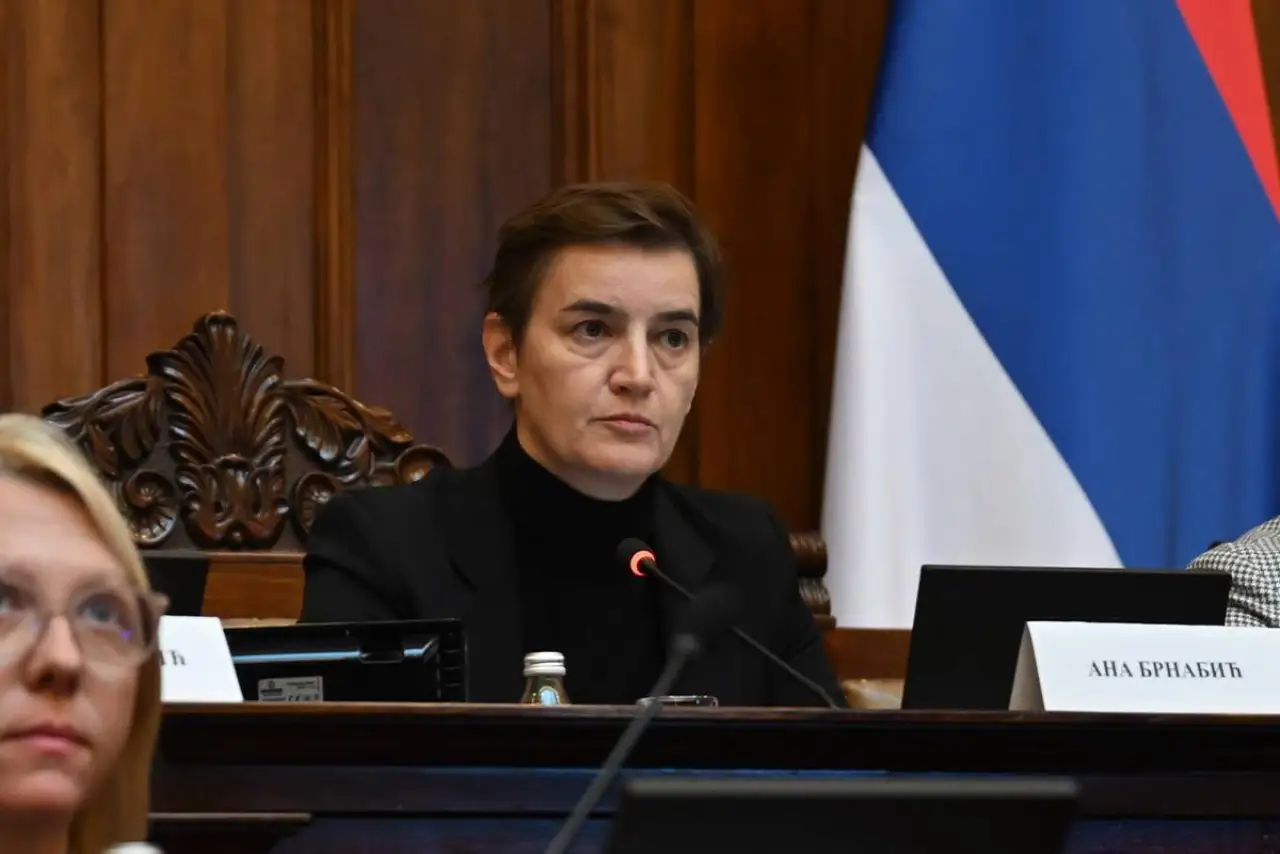 Ана Брнабич